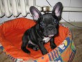 /album/fotogaleria/img-0758-2-jpg/